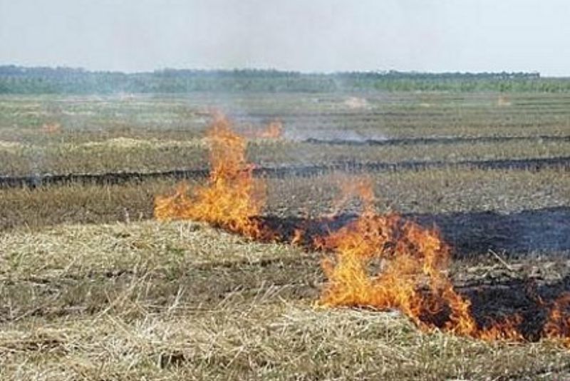 У Запорізькій області вживають заходів із запобігання виникненню пожеж