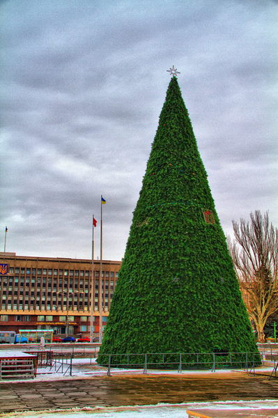 Головна новорічна ялинка області відкриється  на площі Фестивальній 19 грудня