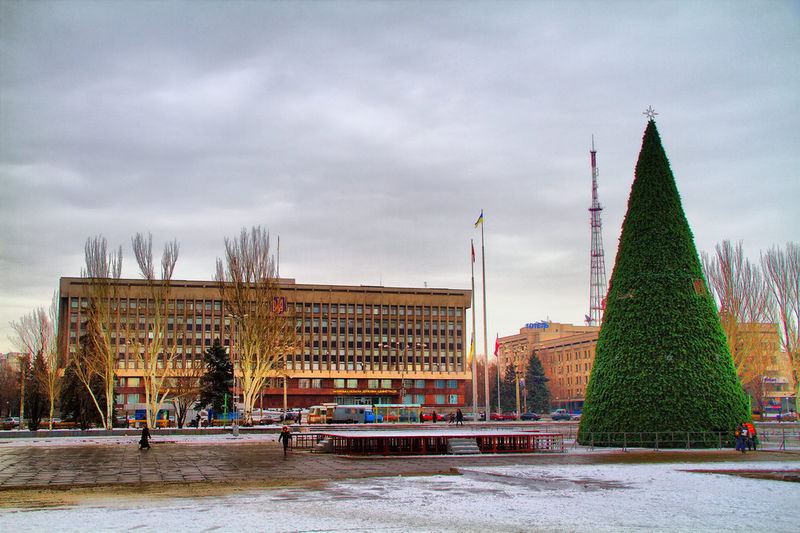 Головна новорічна ялинка області відкриється  на площі Фестивальній 19 грудня