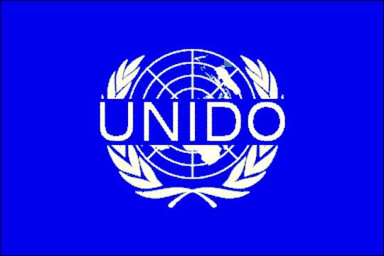 Борис Петров планує перебувати з робочим візитом  в Організації Об'єднаних Націй з промислового розвитку – ЮНІДО