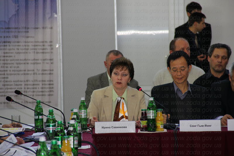 Ірина Савінкова: «В уряді чекають програму підвищеної енергоефективності Запорізької області»