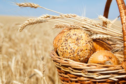 Хлібопекарським підприємствам регіону компенсуватимуть витрати на закупку продовольчого зерна