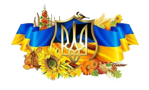 Запоріжці готуються до ювілейних дат: Днів Конституції та незалежності України
