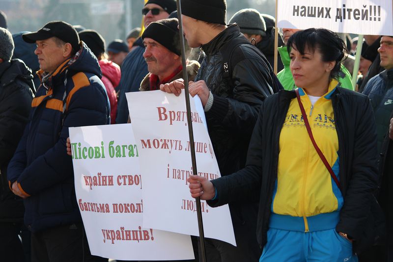 Лісові господарства області потребують підтримки на державному рівні